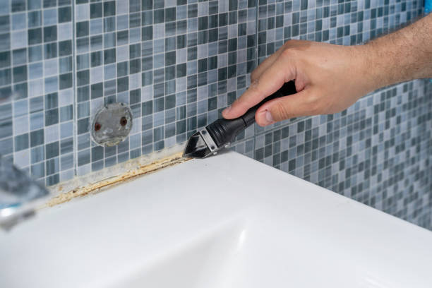Best Mold Removal Near Me  in Mlstadt, IL