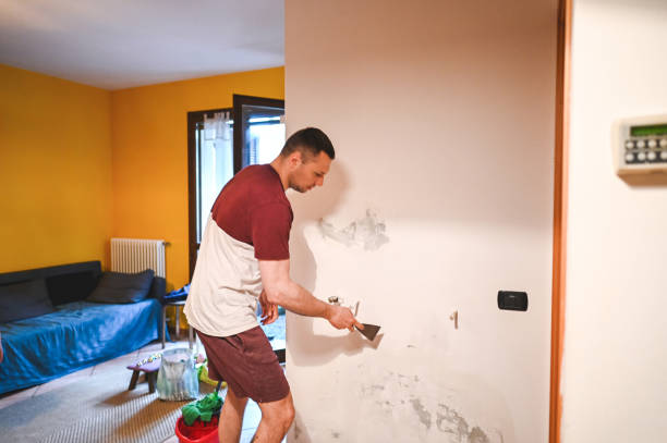 Best Mold Removal Near Me  in Mlstadt, IL